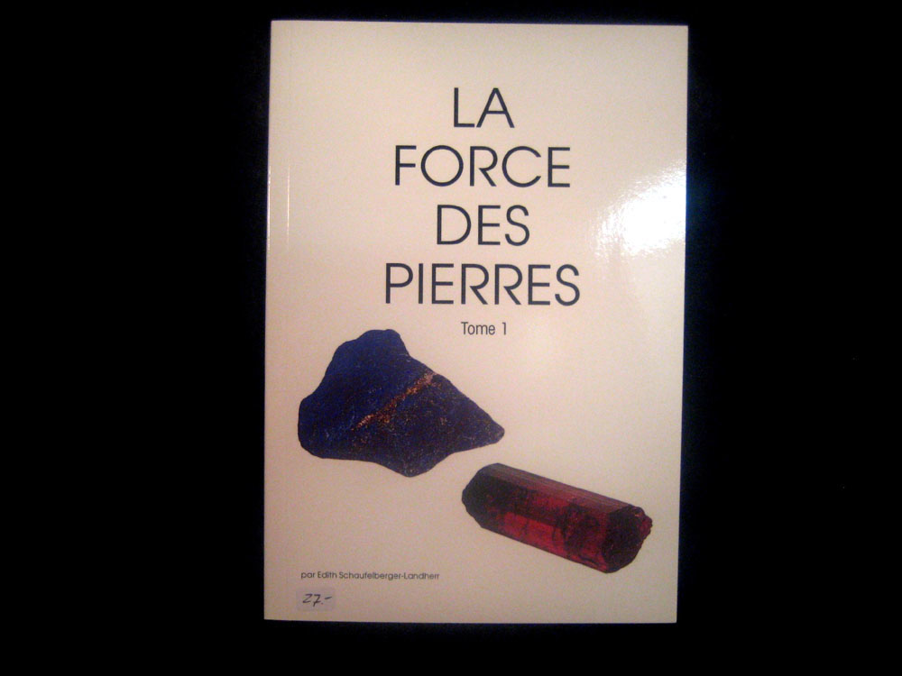 La force des pierres Tome 1, Edith Schaufelberger